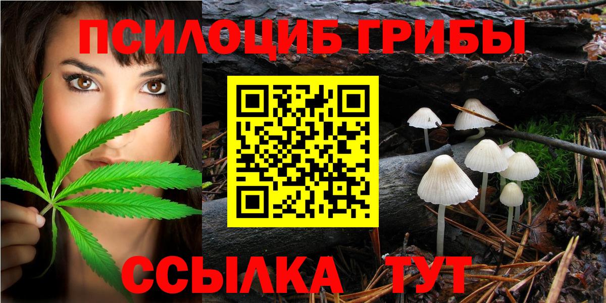Псилоцибиновые грибы мицелий Ревда